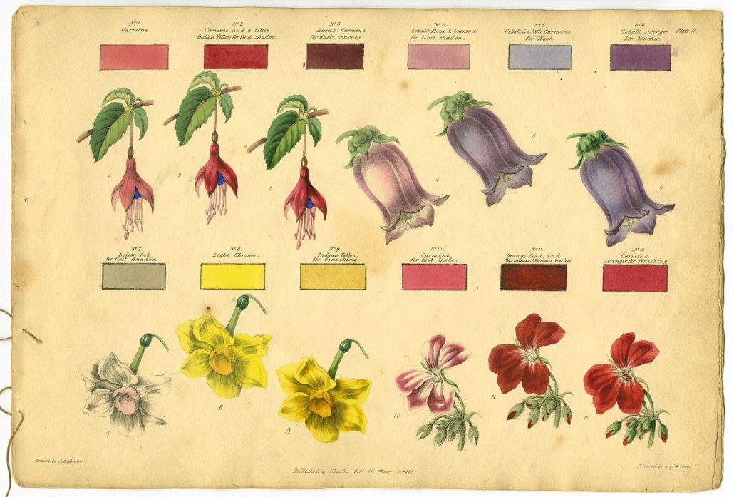 James Andrews, Lessons in Flower Painting (London, ca.1836).