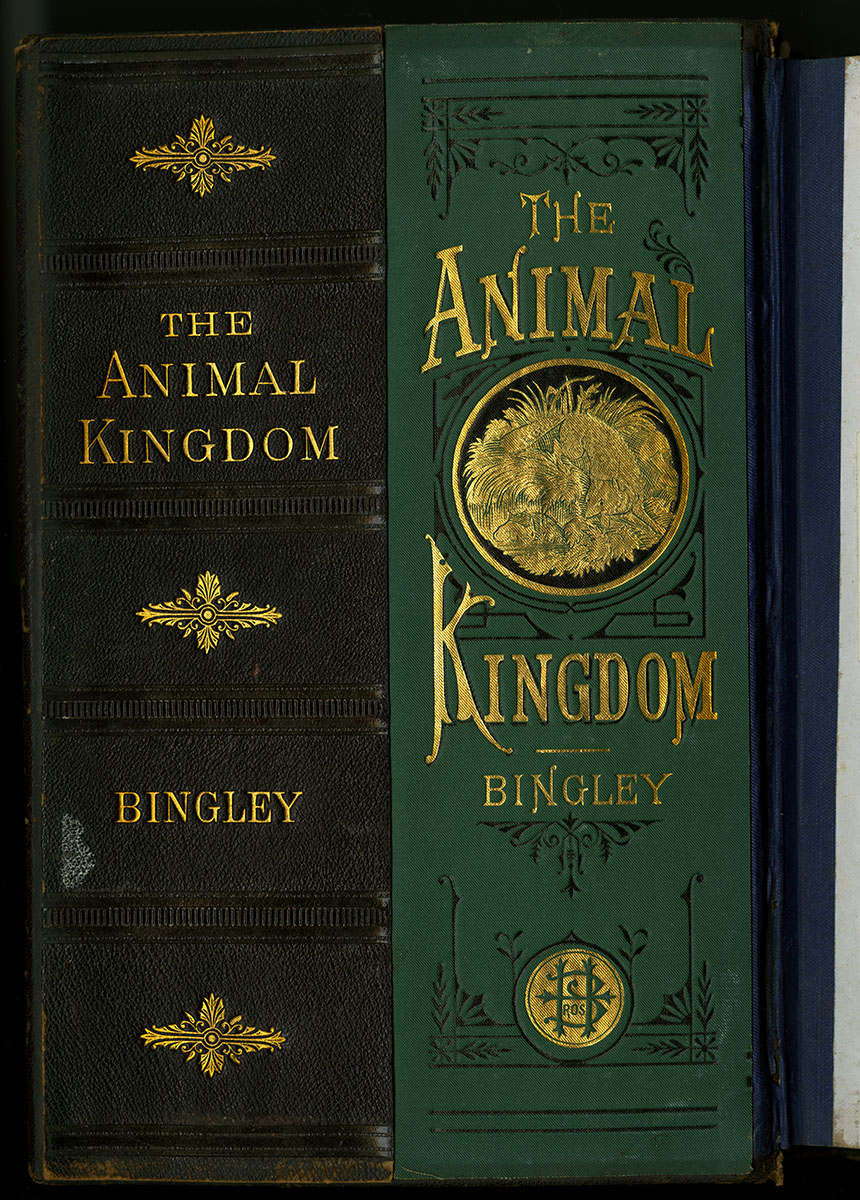 The Animal Kingdom (Philadelphia, 1880). Canvassing book.
