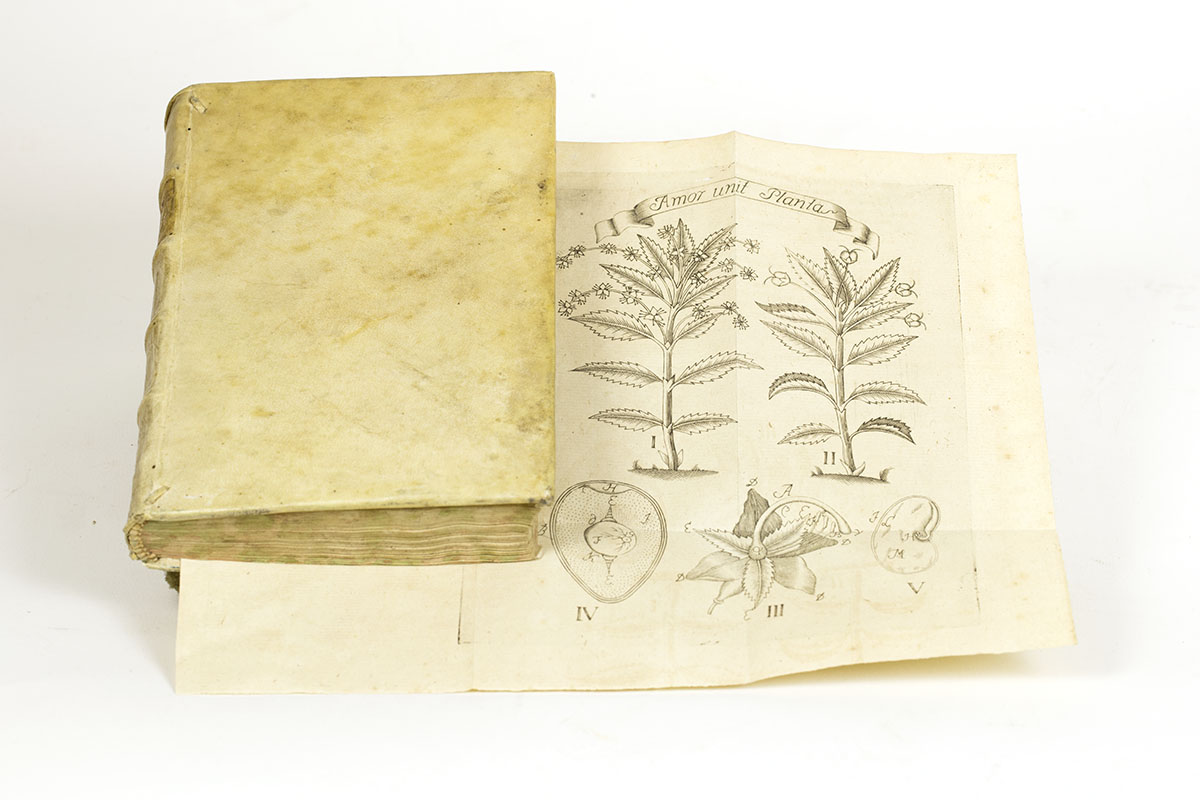 Carl von Linné, Fundamenta Botanica et Systema Naturae (Lucca, Italy, 1758).